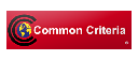 Common Criteria_for CS1182/1184