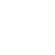 RC-Icon_91_Essentials-Accent-light