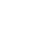 RC-Icon_99-045_Essentials-CoreShield