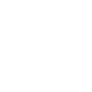 RC-Icon_99-050_Essentials-5A-High-Current