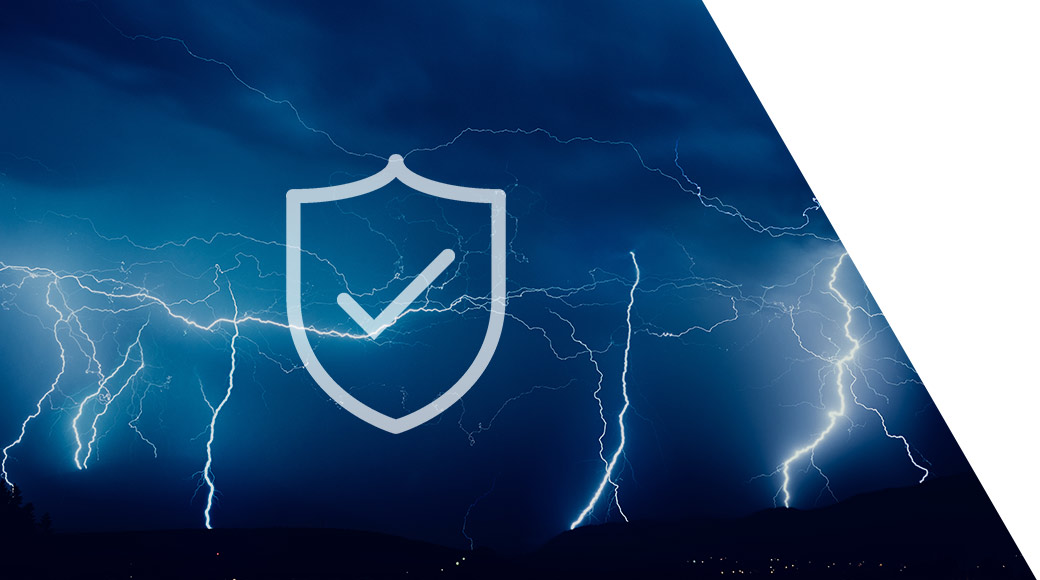 Network & Power Surge Protections